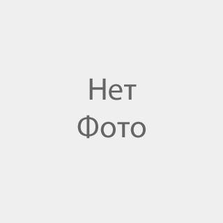 ЦЕПЬ ЗЕРНОВОГО ЭЛЕВАТОРА В СБОРЕ 6012040; 5556281 (АНАЛОГ)
